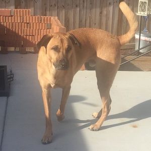 Meet your Posher, Diane